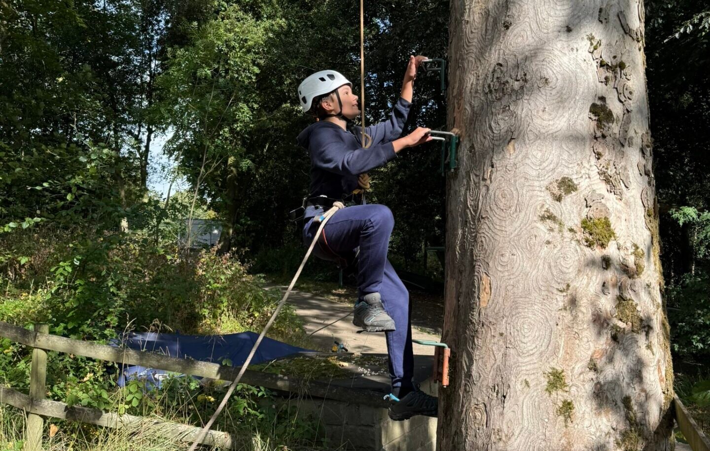 Tree Climb